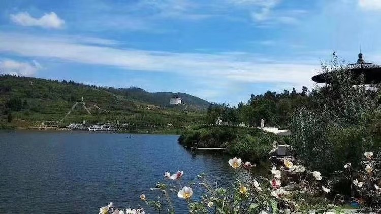 园景实拍