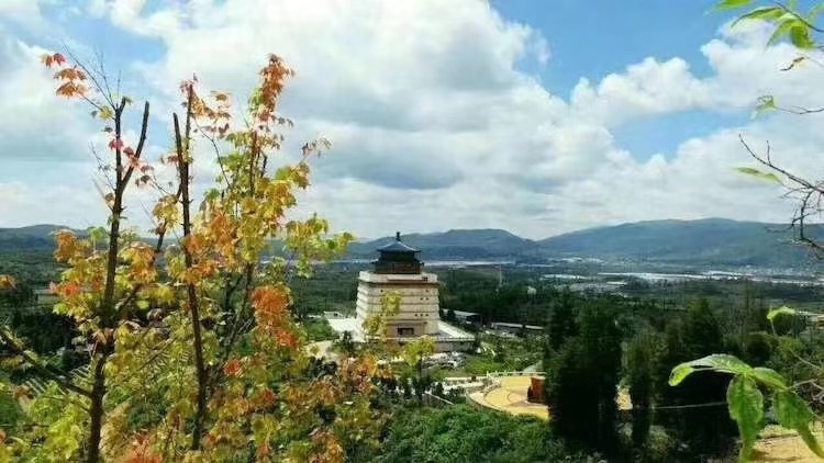 园景实拍