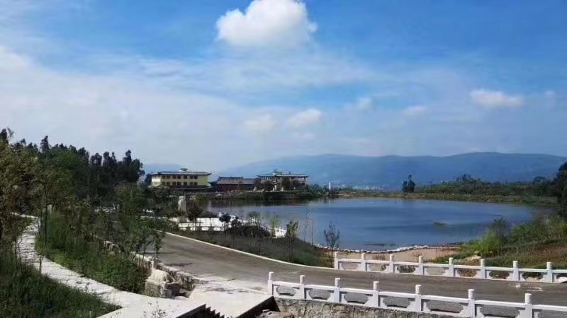园景实拍